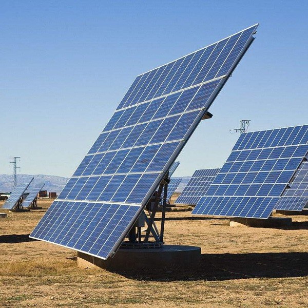 咖啡多酚